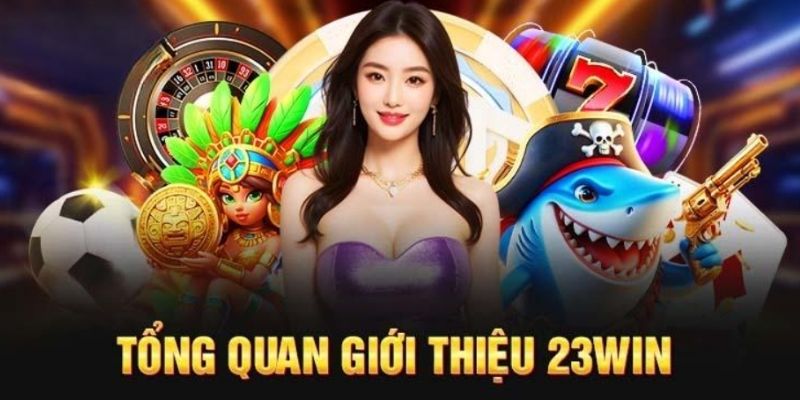 Hoạt động hợp pháp được cấp phép